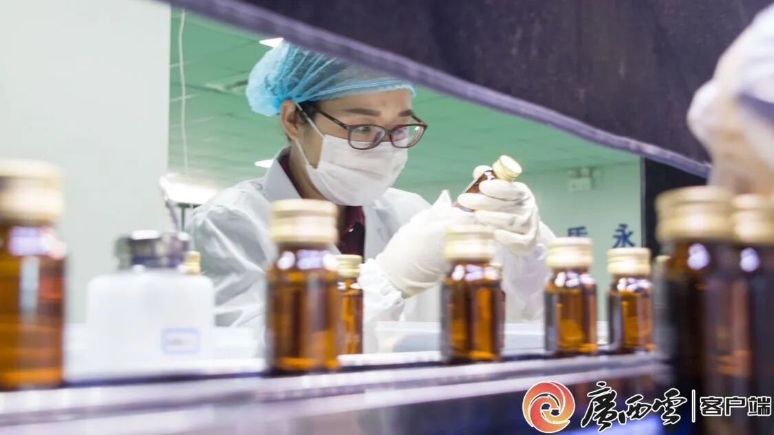 廣西日報聚焦天緣綠：從產(chǎn)品創(chuàng)新到行業(yè)標準，引領(lǐng)芭蕉健康產(chǎn)業(yè)升級