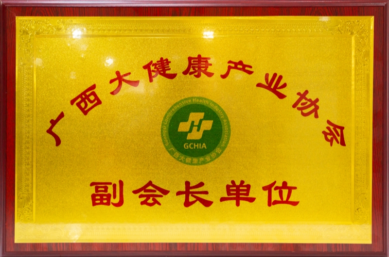 廣西大健康產業(yè)協(xié)會副會長單位 - 小.jpg